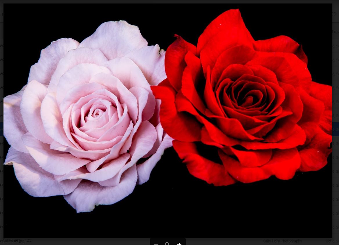 pink and red gumpaste lifelike rose